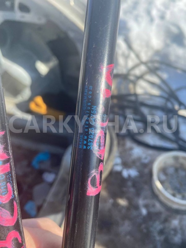 Газовые упоры ВАЗ (LADA) Vesta I (2015—2023) ВАЗ (Lada) Vesta оригинальный номер 3879230475n